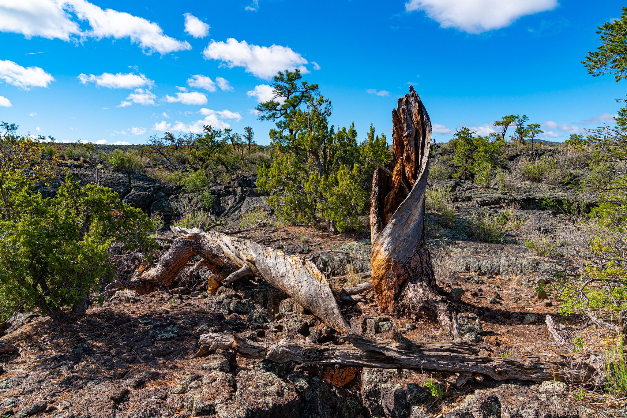 El Malpais National Monument | Adventurous Way