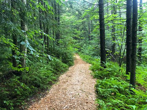 Blazing Trails