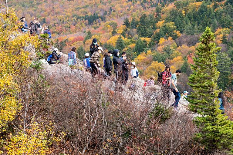 Crowds at Artists Bluff